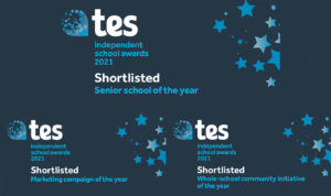Times Education Supplement Awards